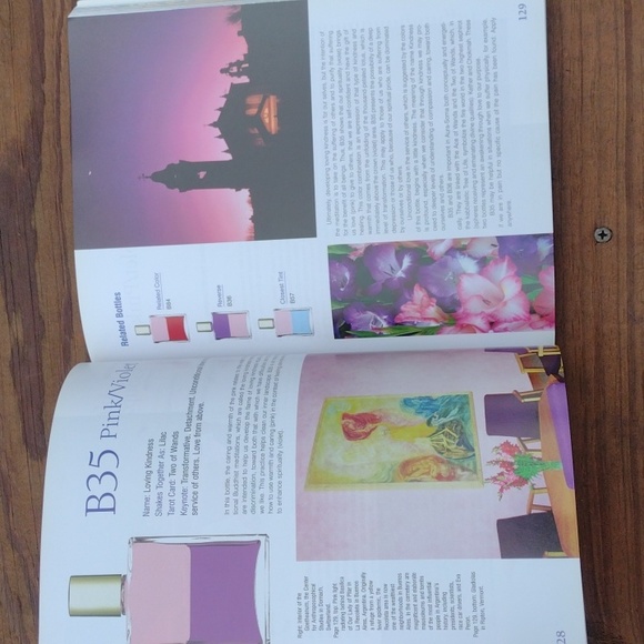 The Aura-Soma Sourcebook Color Therapy for the soul by Mike Booth 2006 - Picture 5 of 6